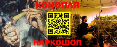 молекула духа Нальчик