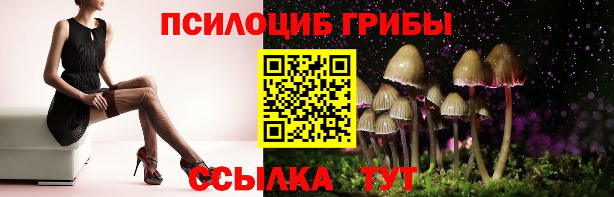 Псилоцибиновые грибы Psilocybine cubensis Ачхой-Мартан