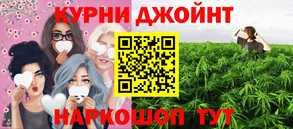 Каннабис гибрид Ачхой-Мартан